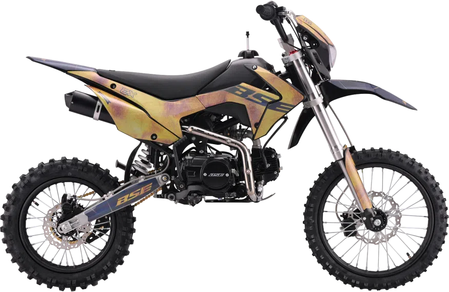 EX Exclusive Gold 14/12 rear