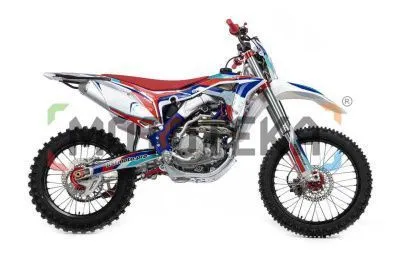 Мотоцикл кроссовый / эндуро BSE (БСЕ) RTC 300Re 21/19 2