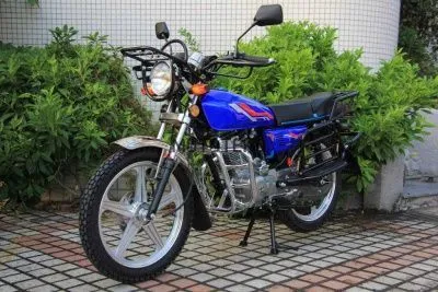 Мотоцикл дорожный Мотомир HUNTER 200 (обвес типа "Лесник") синий с ПТС