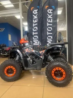 Квадроцикл детский FXMOTO (ФХМото) HORNET 125 чёрный (машинокомплект)