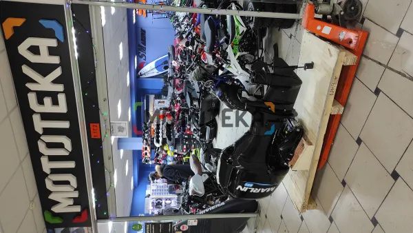 Лодочный мотор MARLIN (Марлин) MFI 70 AERTL 2,33 | Мототека