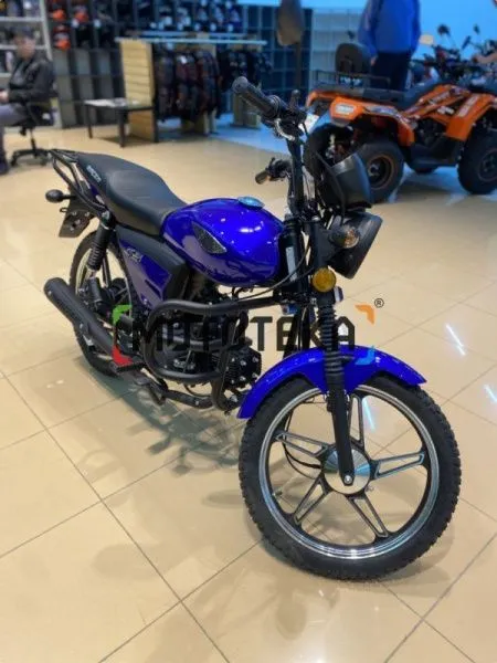 Мопед Racer (Рейсер) RC50 (110) ALPHA M1 синий | Мототека