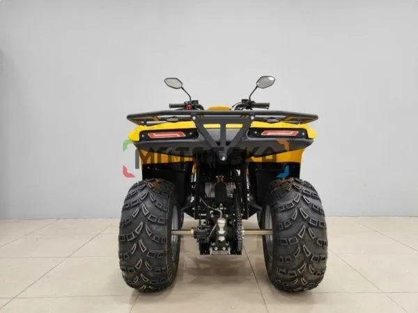 Квадроцикл IRBIS (Ирбис) ATV 200 LUX 2024 желтый с ПСМ | Мототека