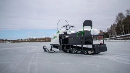 Снегоход БТС Арктик - 4Т Лонг 20 л.с. белый (машинокомплект) - купить с доставкой, по выгодной цене в интернет-магазине Мототека