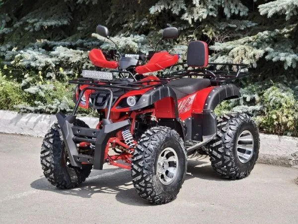 Квадроцикл R - MOTO (Р - Мото) Lion 200 LD красный (машинокомплект) | Мототека