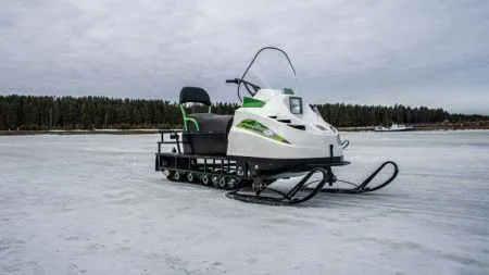 Снегоход БТС Арктик - 4Т Лонг 20 л.с. белый (машинокомплект) - купить с доставкой, по выгодной цене в интернет-магазине Мототека