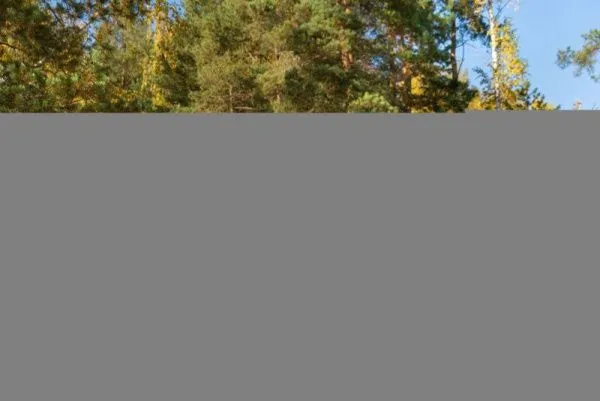 Мотоцикл кроссовый / эндуро BSE (БСЕ) Z7 300e 21/18 Orange Blast 1 | Мототека