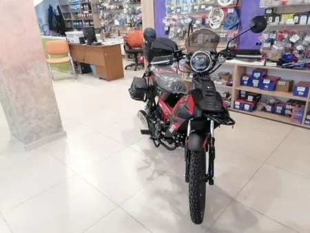 Мопед Скутеретта FXMOTO (ФХМото) RATO 50 (110) серый - купить с доставкой, по выгодной цене в интернет-магазине Мототека