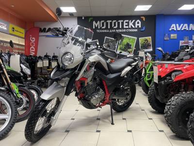 Мотоцикл дорожный Minsk (Минск) Goose 400 M1NSK с ПТС