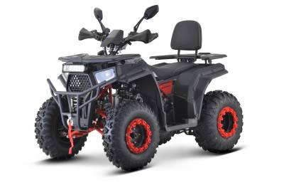 Квадроцикл FXMOTO (ФХМото) WASP 200 LUX чёрный (машинокомплект)