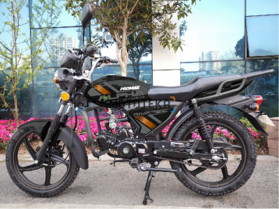 Мопед PROMAX (Промакс) ALPHA RIVA 49 (130) черный