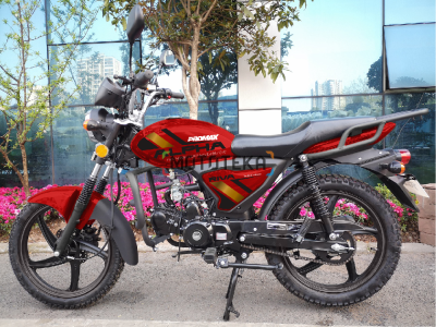 Мопед PROMAX (Промакс) ALPHA RIVA 49 (130) красный