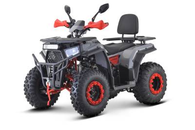 Квадроцикл FXMOTO (ФХМото) WASP 200 LUX серый (машинокомплект)