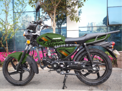 Мопед PROMAX (Промакс) ALPHA RIVA 49 (130) зеленый