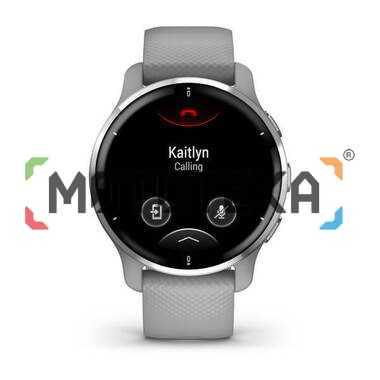 Смарт-часы Garmin (Гармин) Venu 2 PLUS, GPS, серые с серебр. безелем, с силиконовым ремешком (010-02496-10)