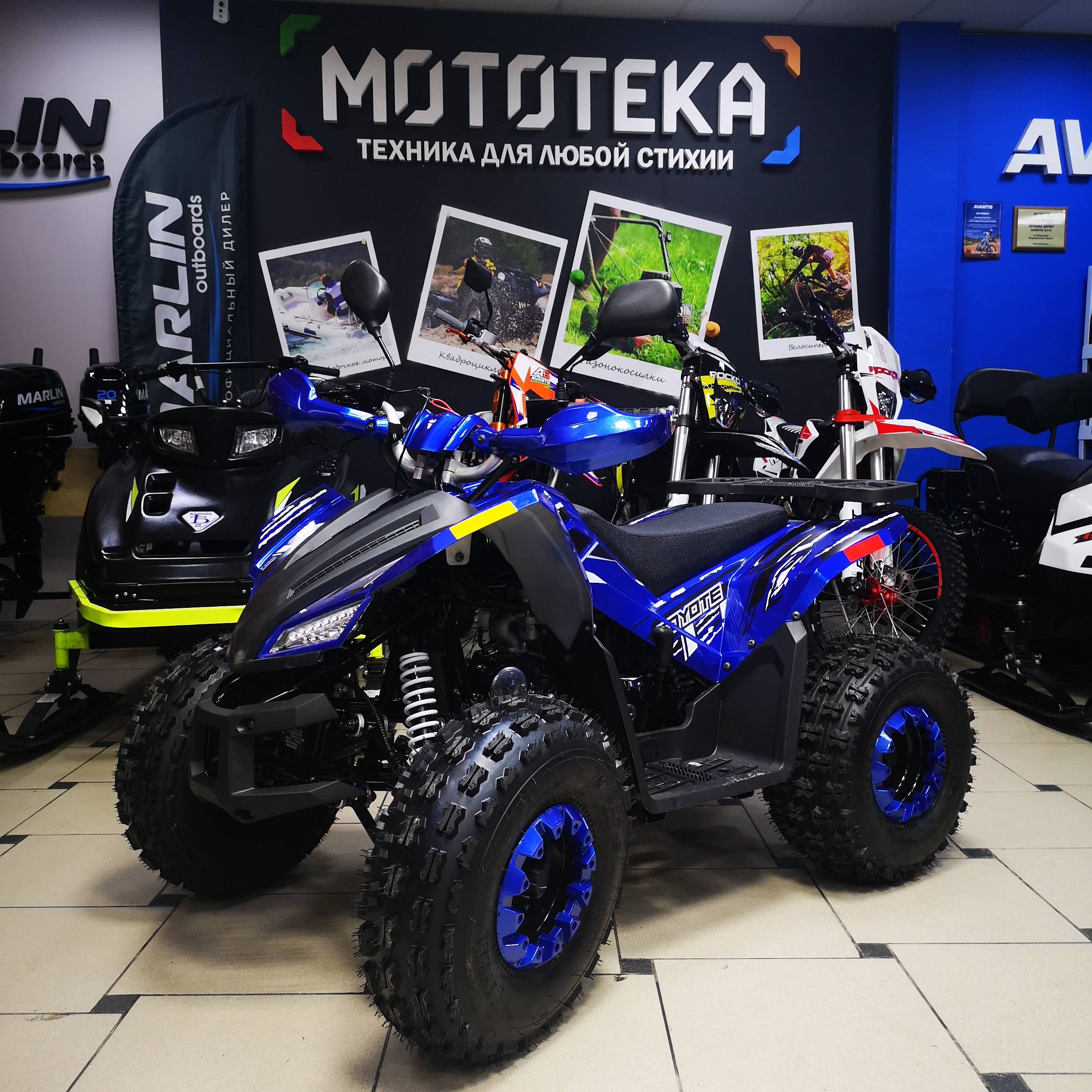Квадроцикл подростковый Zuumav (Зуумав) COYOTE 150 чёрный (машинокомплект)