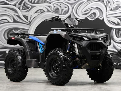 Квадроцикл Sharmax (Шармакс) Force 600 Ranger (машинокомплект) | Мототека