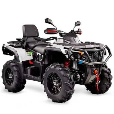 Квадроцикл AODES (Аодес) Pathcross ATV1000L PRO EPS LCD двухместный белый с ПСМ