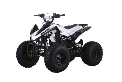 Квадроцикл детский BSE (БСЕ) WOLF 125СС (машинокомплект)