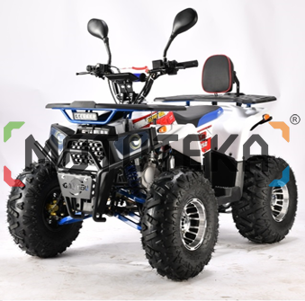 Квадроцикл детский ATV BULLY 125 LUX зелёный/чёрный (машинокомплект)