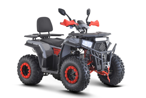 Квадроцикл FXMOTO (ФХМото) WASP 200 LUX серый (машинокомплект) | Мототека