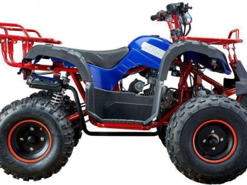 Квадроцикл детский YACOTA (Якота) KIDS 8 (машинокомплект) фото 2