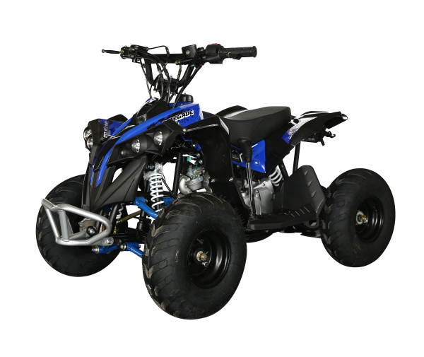 Электроквадроцикл детский Motax (Мотакс) ATV Cat 1000W (машинокомплект) | Мототека