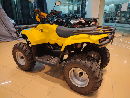 Квадроцикл IRBIS (Ирбис) ATV 200 LUX 2024 желтый с ПСМ - купить с доставкой, цены в интернет-магазине Мототека