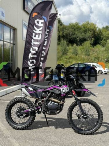 Мотоцикл кроссовый / эндуро GTO SHORT Pro Max 300 купить в