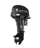 Лодочный мотор ALLFA (Альфа) Т9.9 FWS MAX