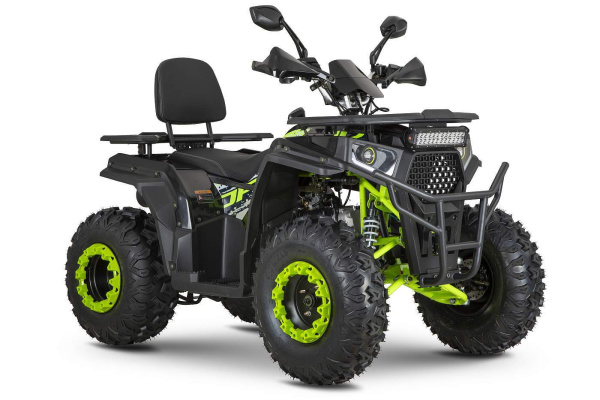 Квадроцикл R - MOTO (Р - Мото) Lion 200 KING чёрный (машинокомплект) | Мототека