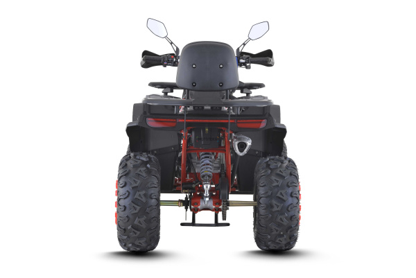 Квадроцикл FXMOTO (ФХМото) WASP 200 LUX чёрный (машинокомплект) | Мототека