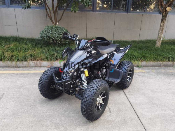 Квадроцикл Мотомир ATV SPORTY 250 чёрный карбон (машинокомплект) | Мототека