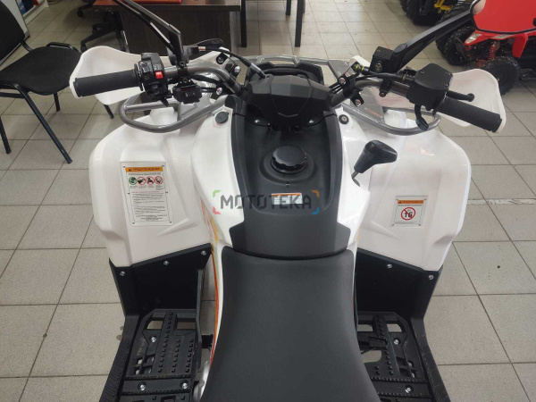 Квадроцикл Motax (Мотакс) ATV Grizlik 200 Ultra чёрный (машинокомплект) | Мототека