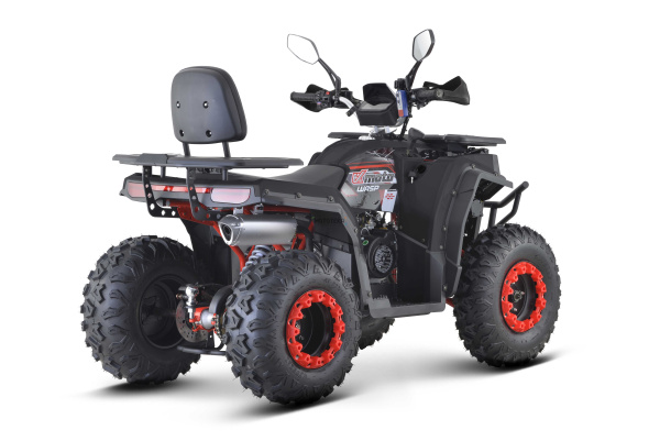 Квадроцикл FXMOTO (ФХМото) WASP 200 LUX чёрный (машинокомплект) | Мототека