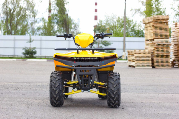 Квадроцикл IRBIS (Ирбис) ATV 200 2024 зелёный с ПСМ | Мототека