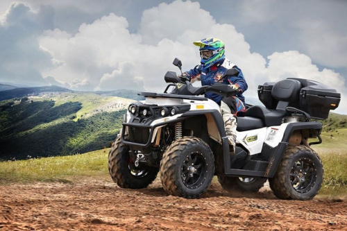 Квадроцикл RM 800 (машинокомплект) фото 3 Квадроцикл RM 800 (машинокомплект) фото 3