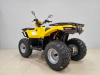 Квадроцикл IRBIS (Ирбис) ATV 200 LUX 2024 желтый с ПСМ - купить с доставкой, цены в интернет-магазине Мототека