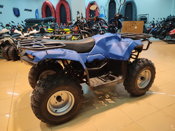 Квадроцикл IRBIS (Ирбис) ATV 250 2024 синий с ПСМ | Мототека