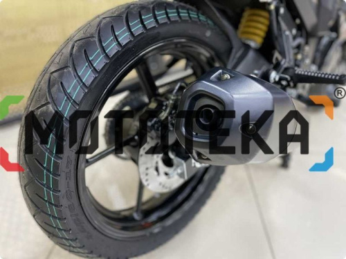 Мотоцикл дорожный MotoLand (Мотолэнд) BANDIT 250 Коричневый с ПТС фото 14