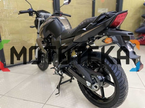 Мотоцикл дорожный MotoLand (Мотолэнд) BANDIT 250 Коричневый с ПТС фото 19