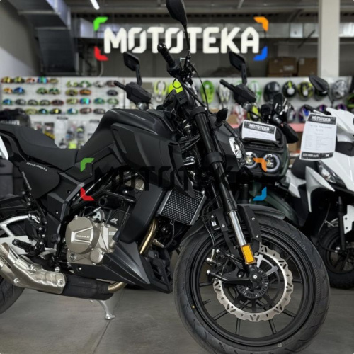 Мотоцикл дорожный Regulmoto (Регулмото) ALIEN MONSTER 300 чёрный с ПТС фото 2 Мотоцикл дорожный Regulmoto (Регулмото) ALIEN MONSTER 300 чёрный с ПТС фото 2