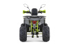 Квадроцикл подростковый FXMOTO (ФХМото) PIKE 150 зеленый (машинокомплект) - купить с доставкой, цены в интернет-магазине Мототека