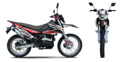 Мотоцикл кроссовый / эндуро Racer (Рейсер) RC300 - GY8K XVR красный с ПТС фото 2