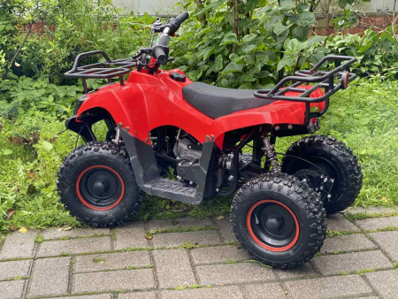 Квадроцикл детский Tiger (Тайгер) Mini 49 (машинокомплект) - купить с доставкой, цены в интернет-магазине Мототека