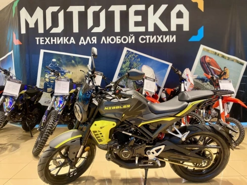 Мотоцикл дорожный Regulmoto (Регулмото) Nibbler серый/жёлтый с ПТС фото 13