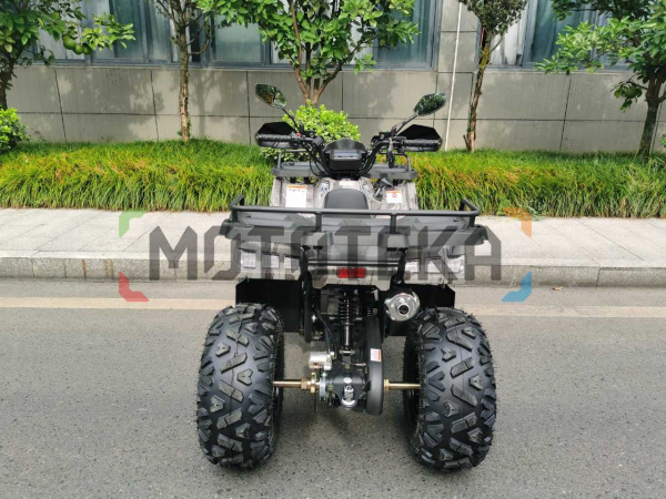 Квадроцикл Motax (Мотакс) ATV Grizlik T200 LUX коричневый камуфляж (машинокомплект) | Мототека