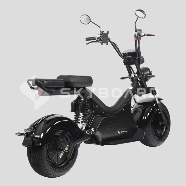 Электроскутер SKYBOARD (Скайборд) BR50 - 3000 (Baikal) | Мототека