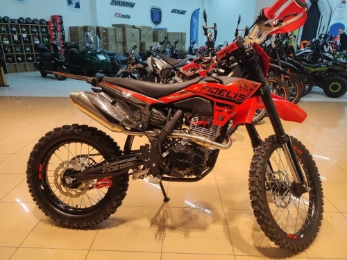 Мотоцикл кроссовый / эндуро Fidelis (Фиделис) Legend CB300F (ZS175FMM) фото 9