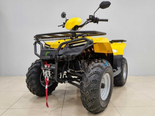 Квадроцикл IRBIS (Ирбис) ATV 200 LUX 2024 желтый с ПСМ фото 2 Квадроцикл IRBIS (Ирбис) ATV 200 LUX 2024 желтый с ПСМ фото 2